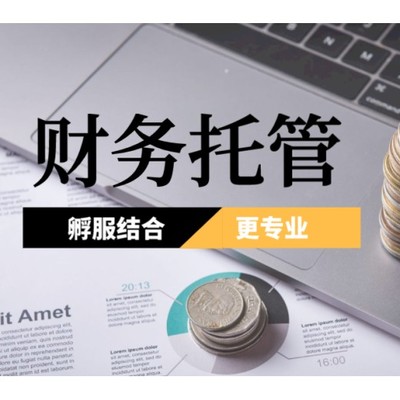 云南臨滄臨翔區(qū)注冊公司代辦與財稅咨詢 一站式企業(yè)服務(wù)解決方案