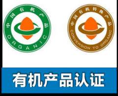 承德保險代理公司 專業代理代辦服務全面解析